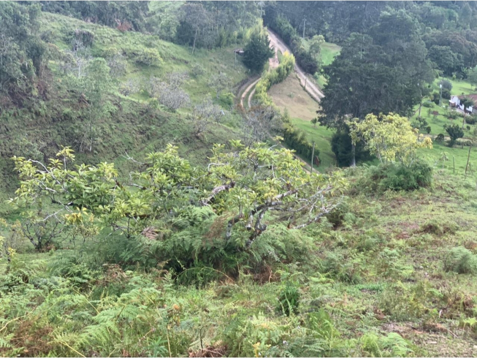 Lote en Venta sector Pantanillo en El Retiro — foto 6