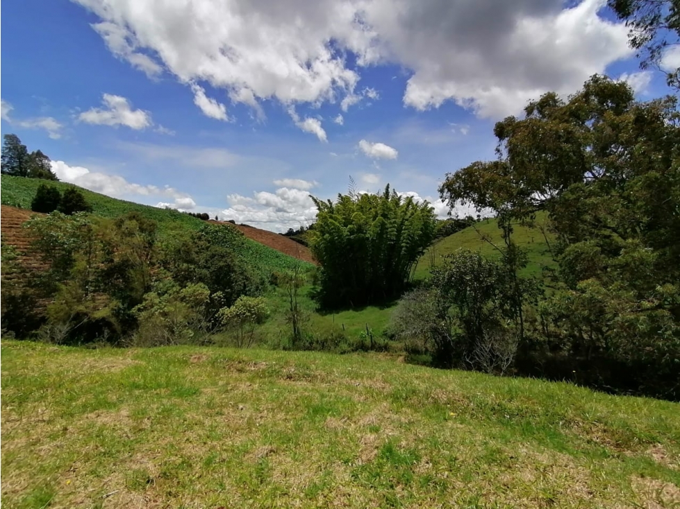 Lote en Venta Sector el Canadá, El Carmen de Viboral - 6