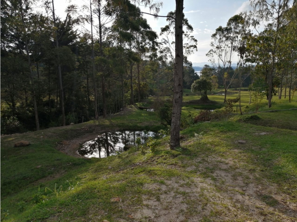 Lote en Venta en Guatapé Sector Los Benedictinos — foto 6