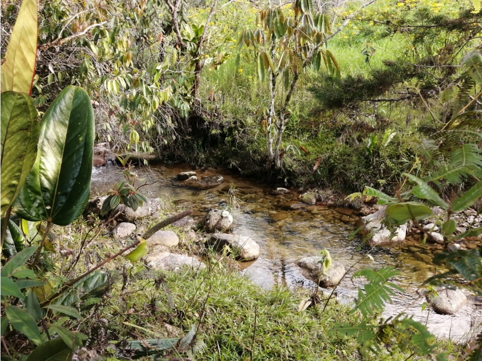 Lote en Venta Guatapé en Sector Los Benedictinos — foto 6