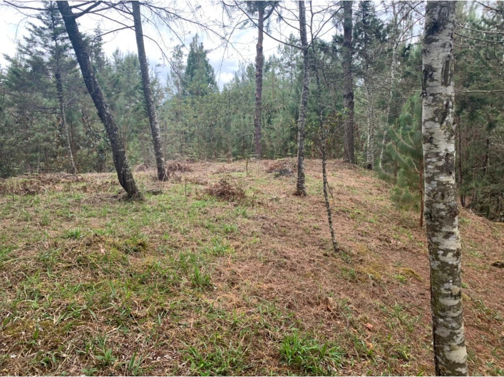 Lote en Venta Sector Lejos del Nido, el Retiro — foto 2