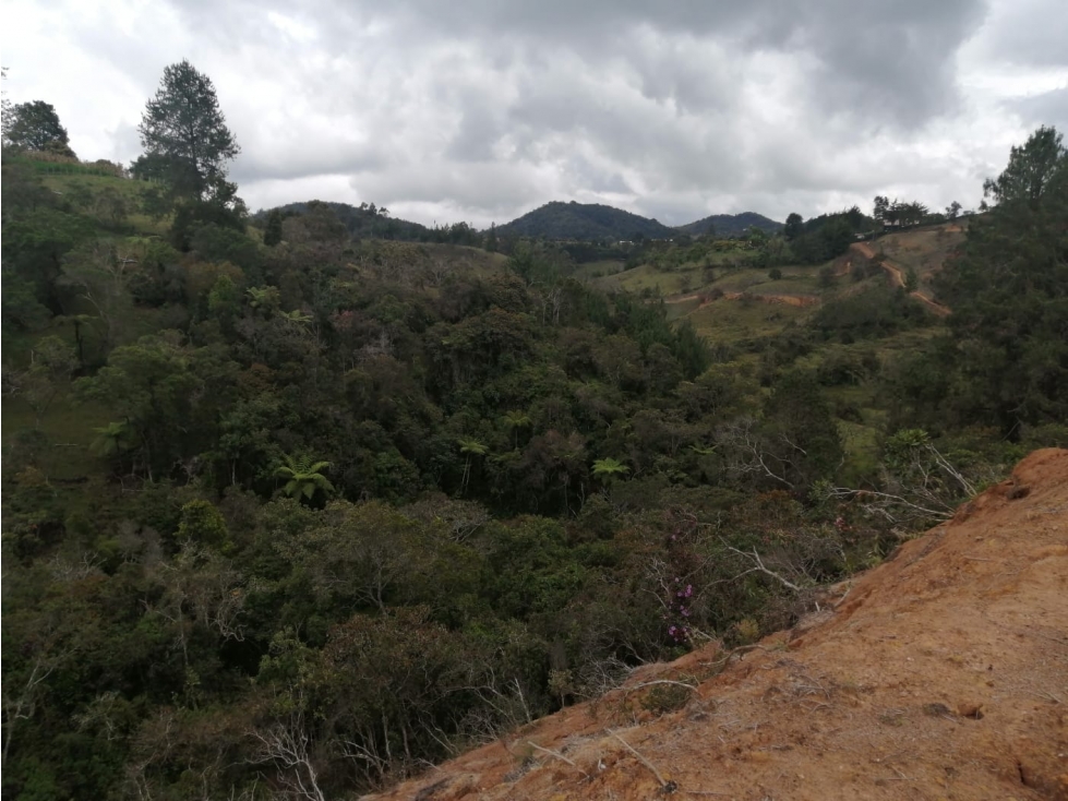 Lote en Venta San Vicente en Sector La Truchera — foto 6