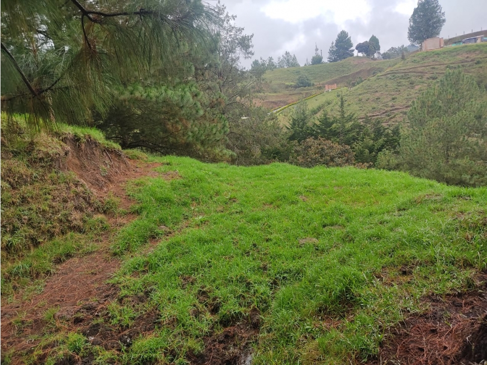 Lote en Venta en El Retiro Vereda Pantanillo