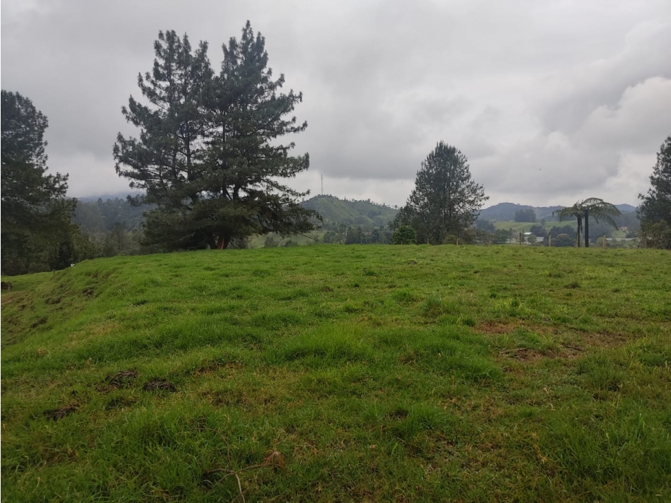 Lote en Venta en El Retiro en la Vereda Pantanillo — foto 5