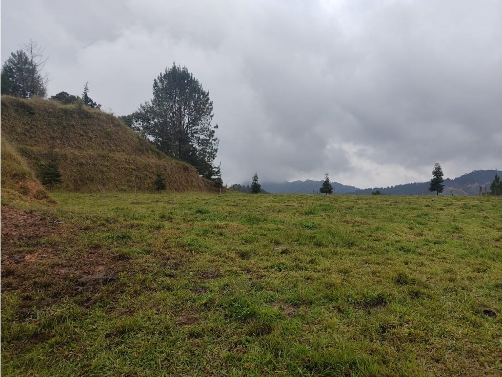 Lote en Venta en la Vereda Pantanillo, en El Retiro