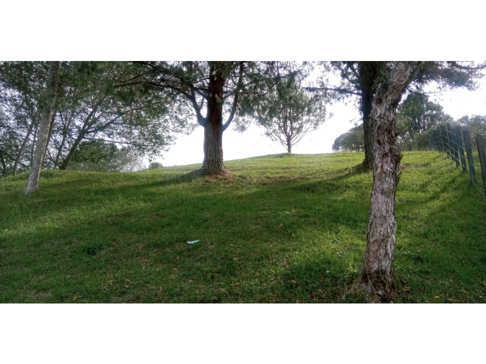 Lote en Venta Sector la Esperanza, Las Palmas — foto 3