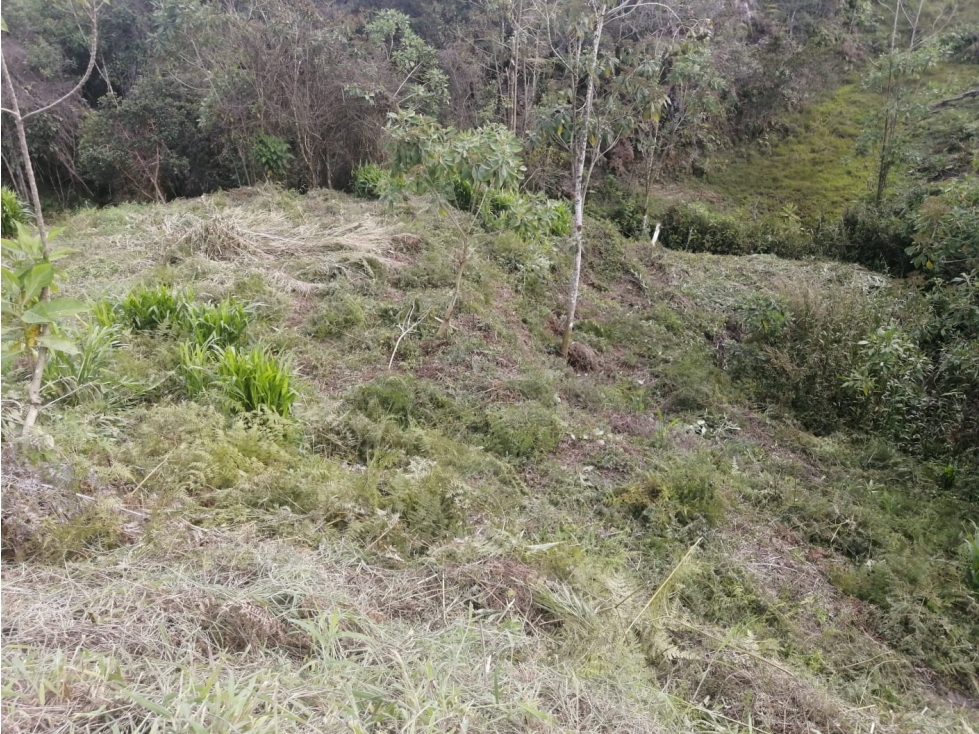 Lote en Venta en el Porvenir San Vicente — foto 5