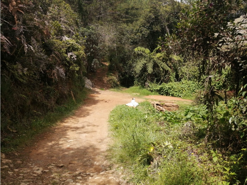Lote en Venta de 20.000 m2 por $800.000.000 Sector Guapante en Guarne — foto 6