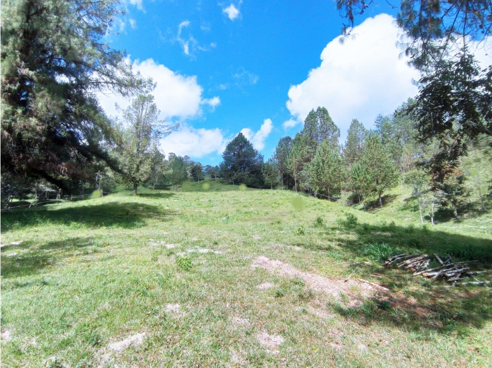 Lote en Venta en Parcelación El Retiro Sector Paso del Toro — foto 2