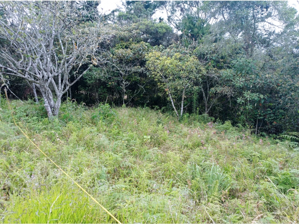 Lote en Venta con Paso de Agua, en Guarne, Vereda la Honda — foto 5