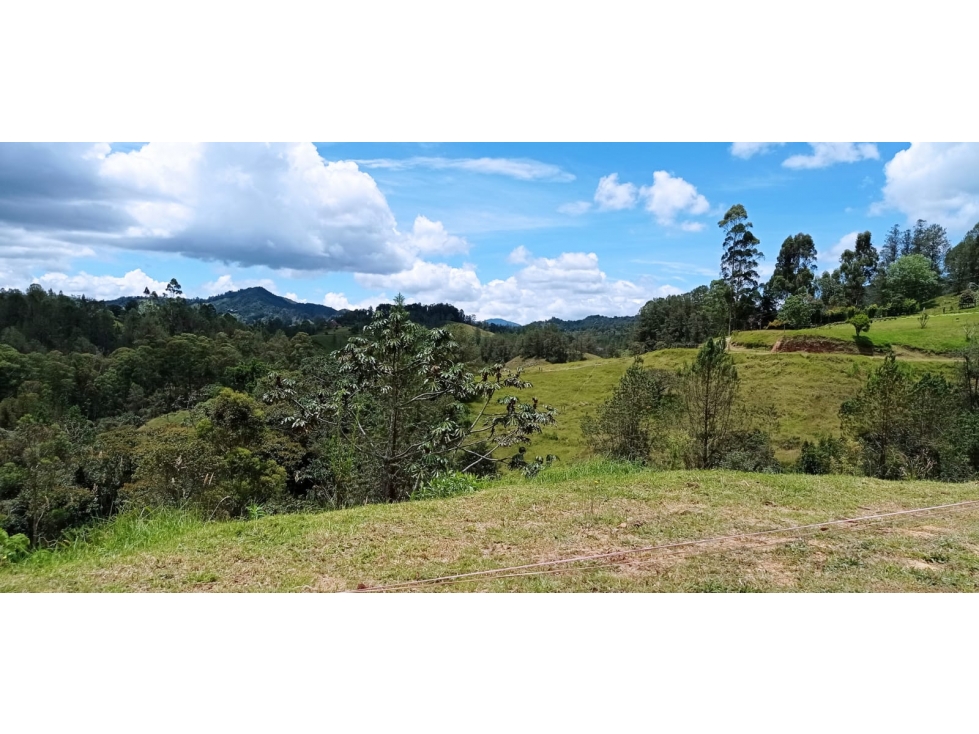 Lote en Venta Parcelación Nueva, Sector Pantanillo el Retiro — foto 3