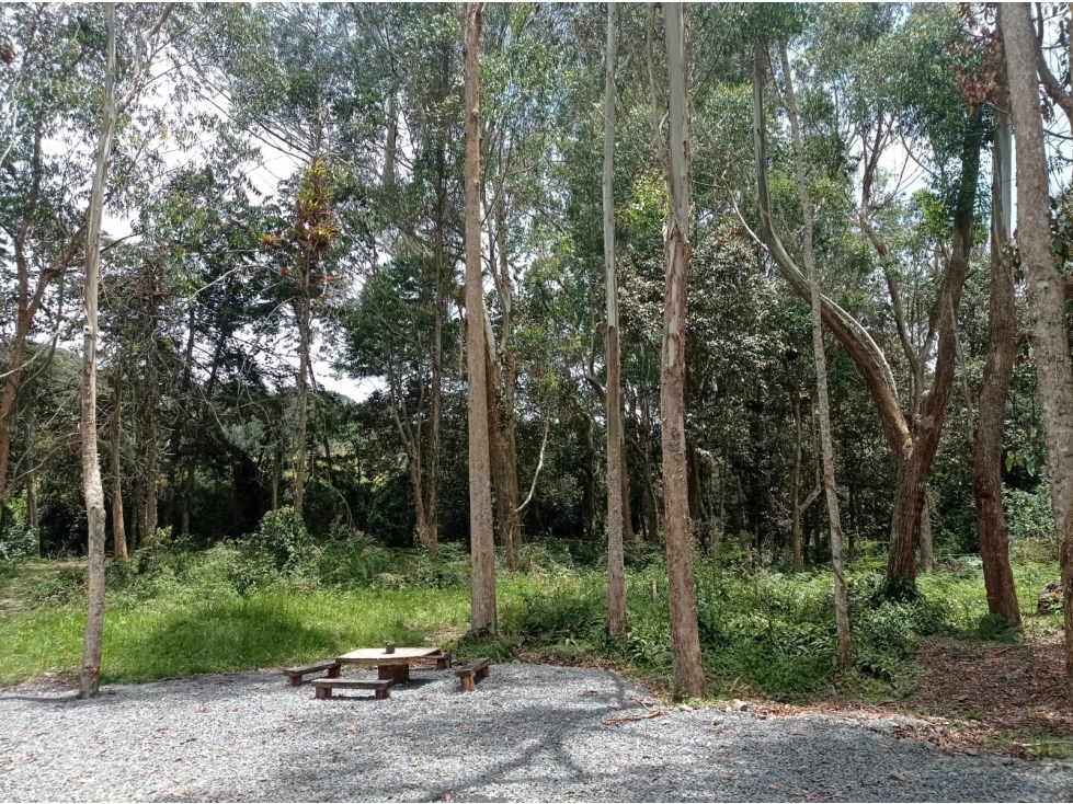 Lote en Hermosa Parcelación en el Retiro, Sector Pantanillo