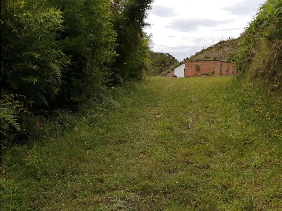 Venta de lote sector Montegrande - San Vicente — foto 3