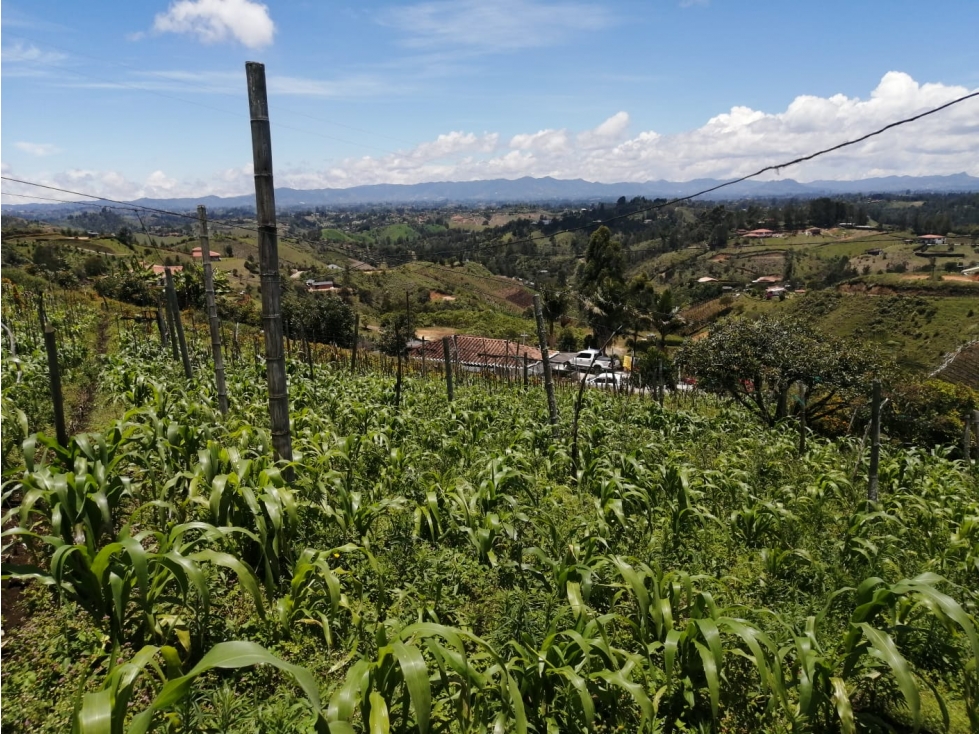 Venta de lote sector Las hojas - San Vicente — foto 6