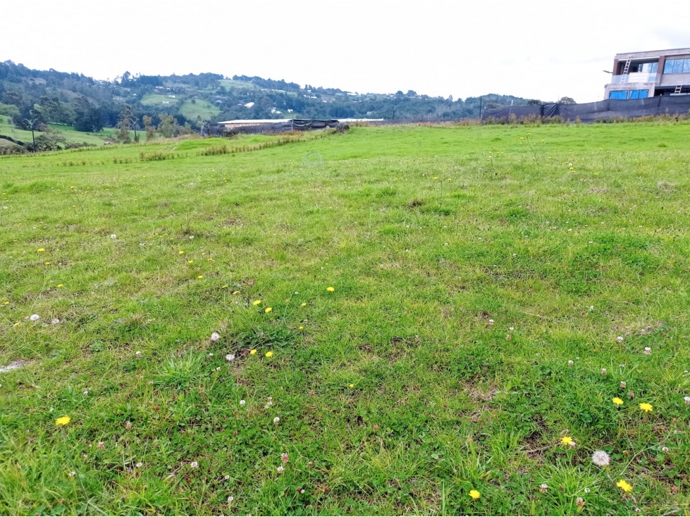 Venta de Lote en La Acuarela -Alto de Palmas Envigado — foto 5