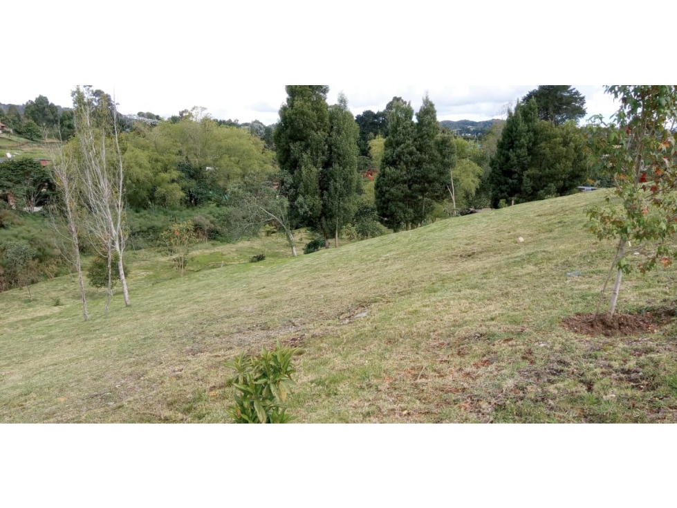 Lote en Venta La Acuarela, Alto de Palmas - Envigado — foto 6