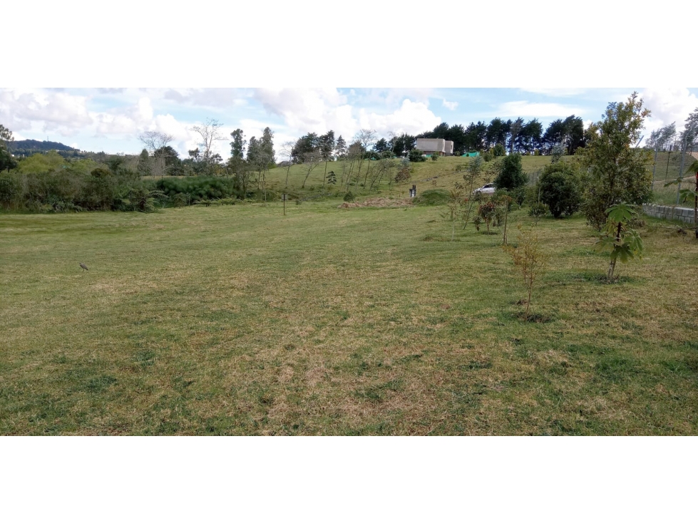 Lote en Venta Sector La Acuarela - Alto de Palmas en Envigado — foto 6