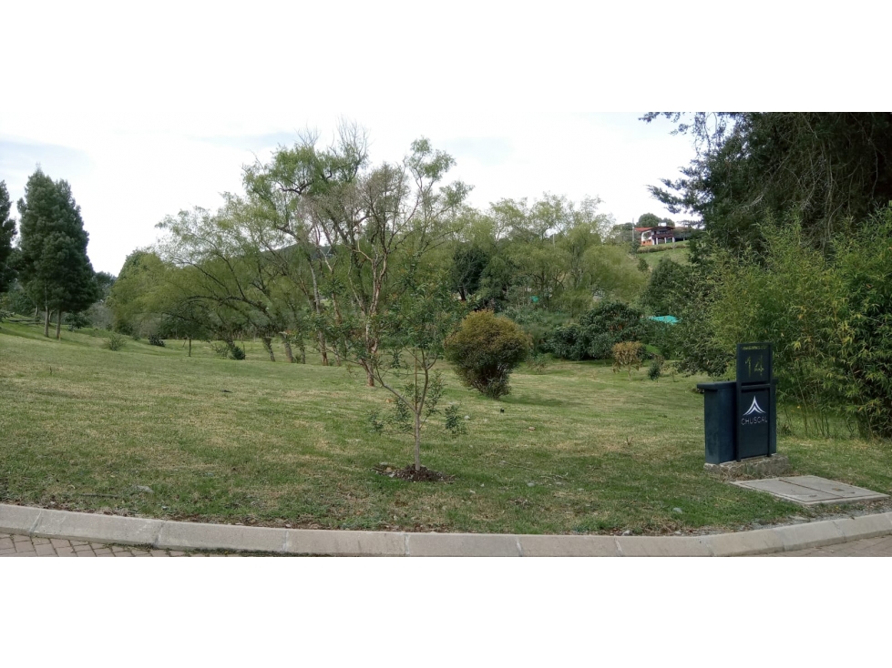 Lote en Venta Sector La Acuarela, Alto de Palmas - Envigado — foto 6