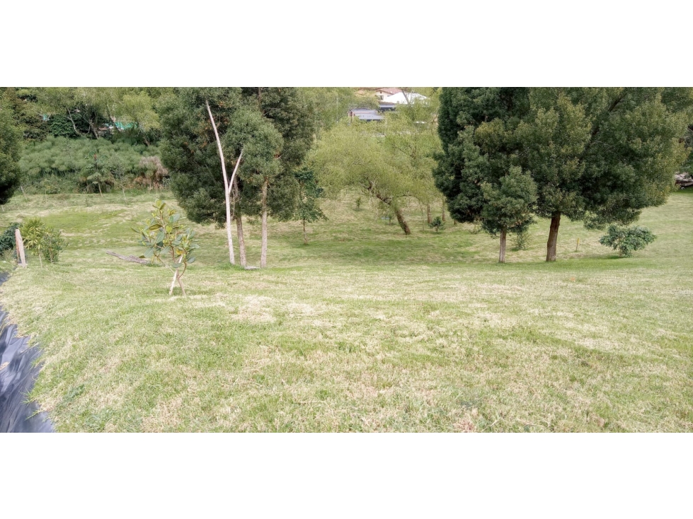 Lote en Venta Sector La Acuarela, Alto de Palmas - Envigado — foto 6