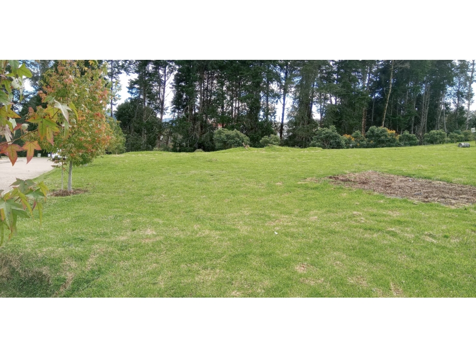 Lote en Venta Sector La Acuarela - Alto de Palmas en Envigado — foto 6