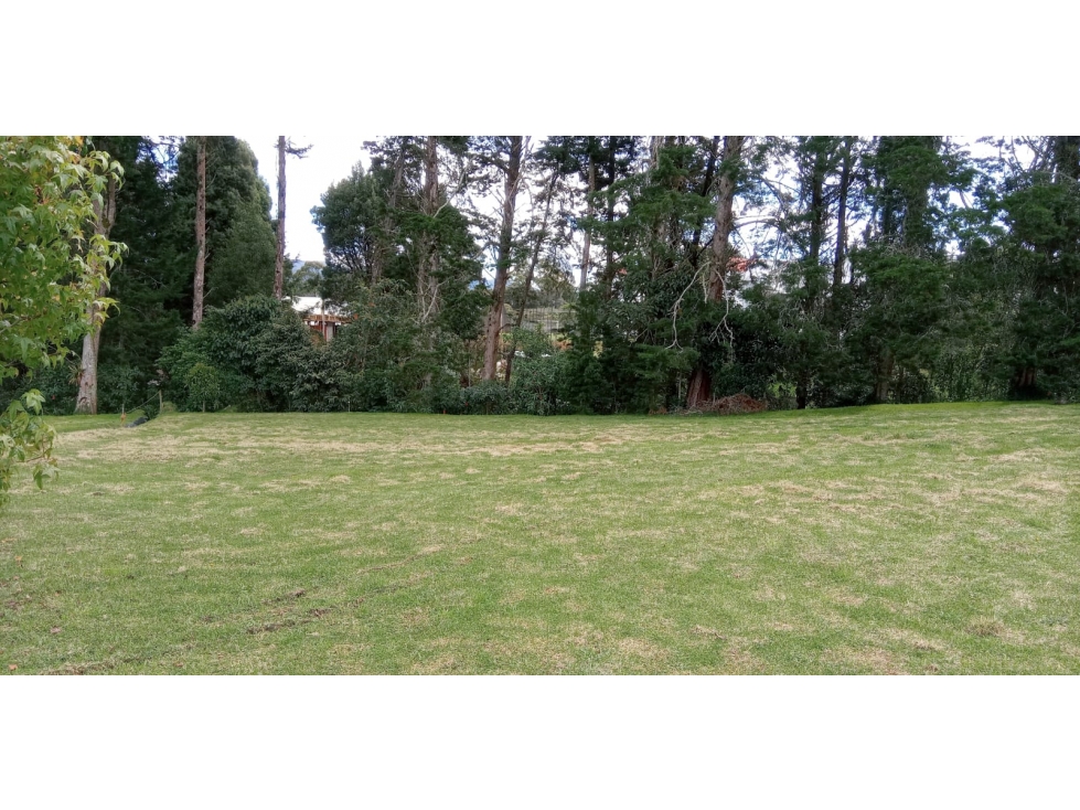 Lote en Venta Sector La Acuarela - Alto de Palmas en Envigado — foto 6