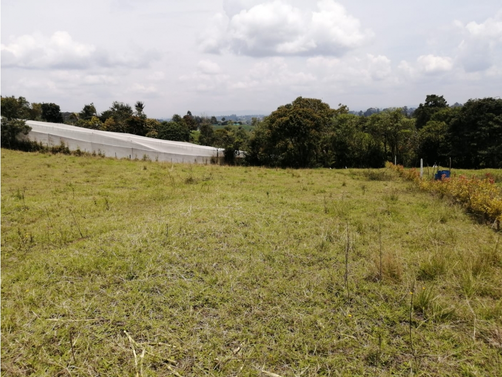 Lote en Venta Sector El Cerro Carmen de Viboral — foto 6