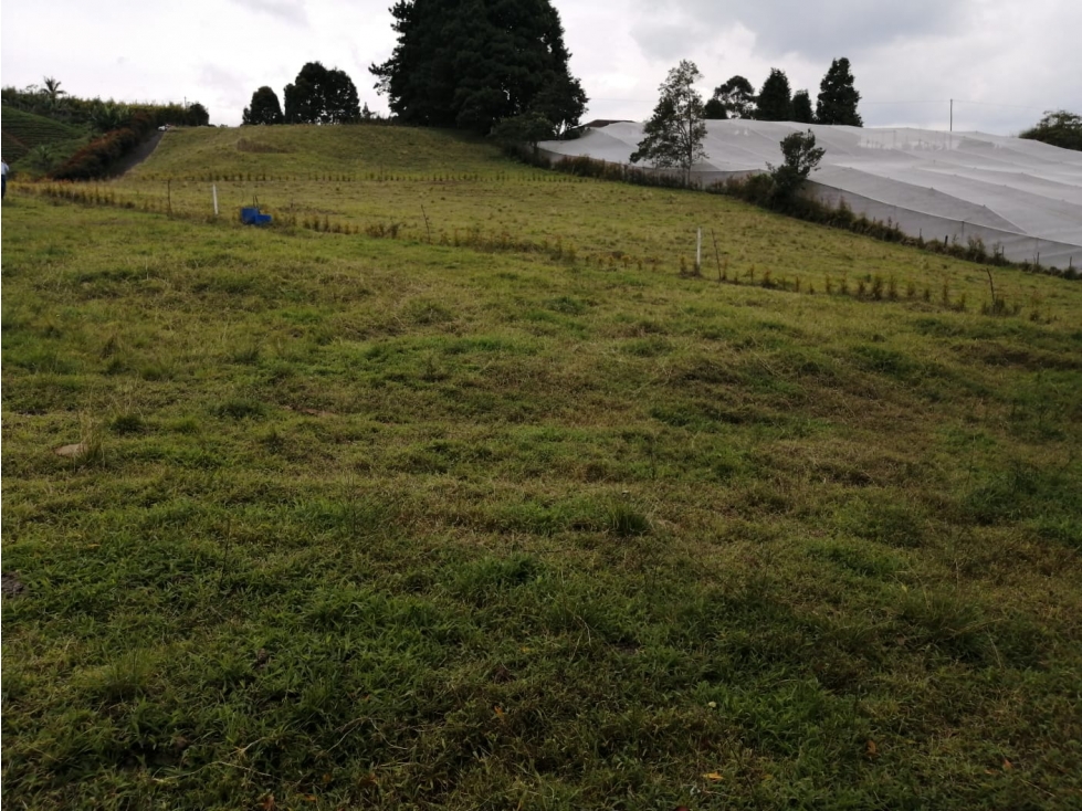 Lote en Venta Sector El Cerro, Carmen de Viboral — foto 6