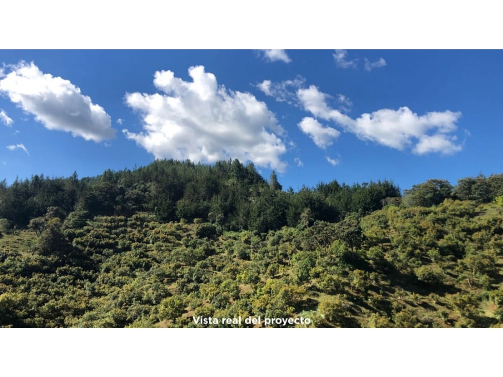 Lote en Venta Proyecto de Parcelación en El Retiro, Vía Pantanillo — foto 5