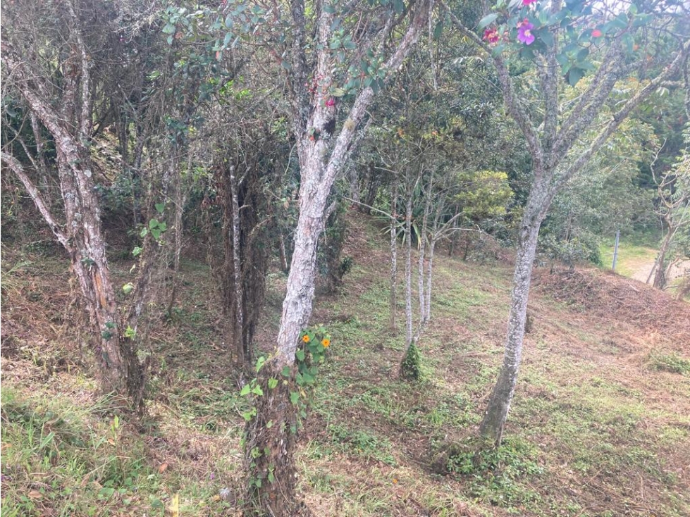 Lote Independiente en Venta Guarne, Vereda la Honda — foto 5