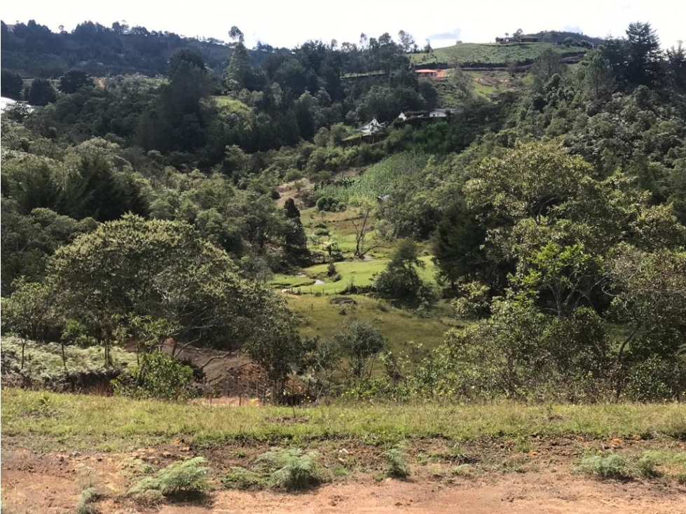 Lote en Venta con Vista al Valle de Chaparral, San Vicente — foto 6