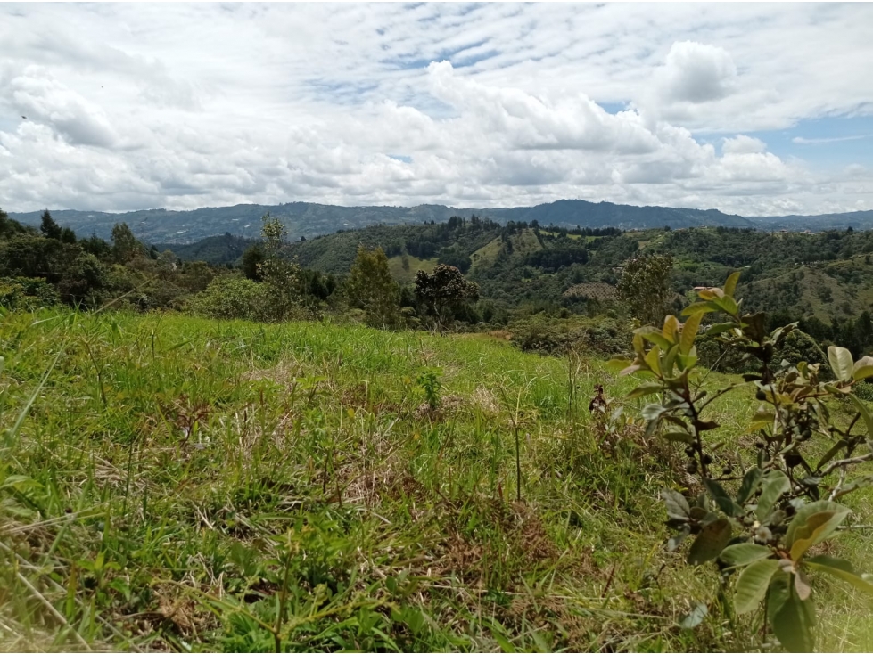 Lote en Venta con Hermosa Vista en Guarne, Vereda la Honda — foto 6