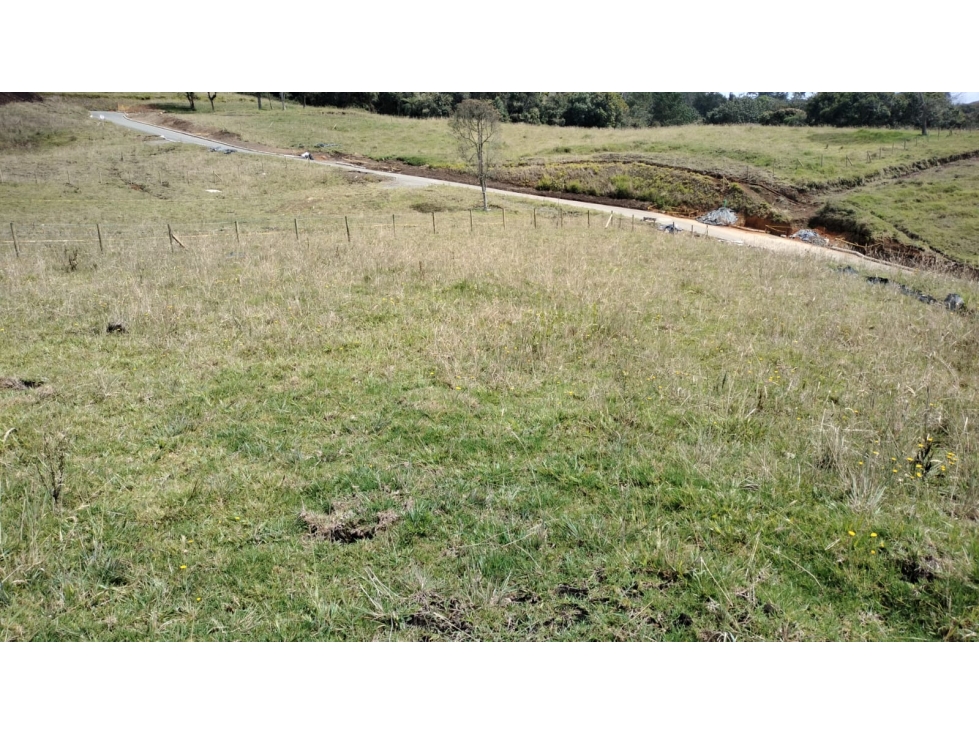 Lote en Exclusivo Sector en Alto de Palmas, Envigado — foto 6