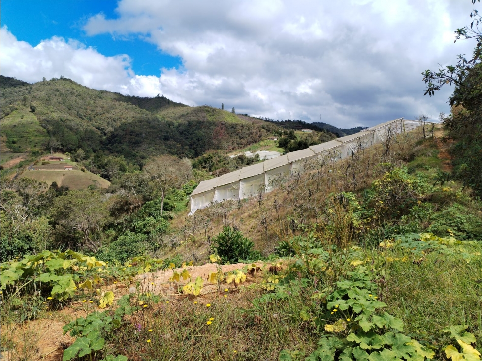 Lote en Venta con Vista Campestre y Banqueo, en San Vicente — foto 6