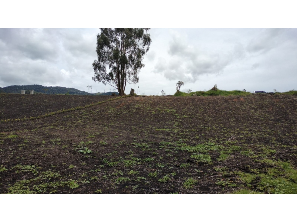 Lote Ubicado en Condominio en Venta, La Ceja Antioquia — foto 6