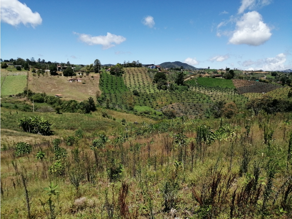 Lote en Venta Sector Chocho Mayo, en Marinilla Antioquia — foto 6