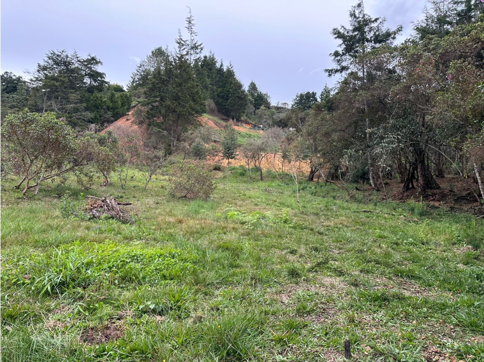 Lote Urbano Sector Vía Aeropuerto Hacia Autopista Medellín - Bogotá — foto 6
