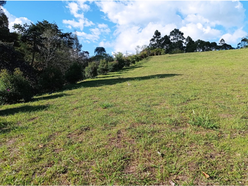 Lote en Venta con Gran Explanada y Hermosa Vista en la Ceja — foto 6