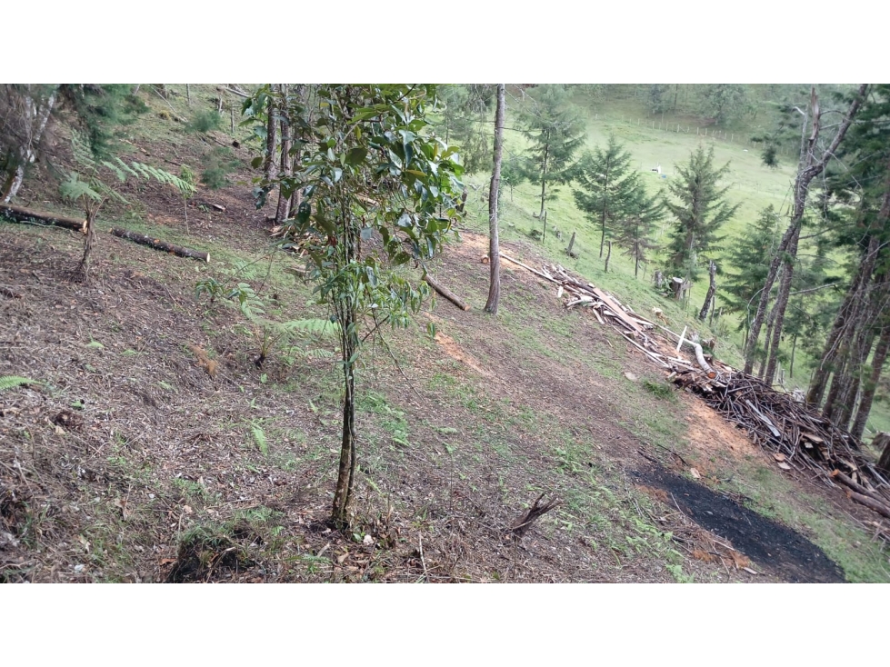 Lote Campestre en Puente Pelaez en el Retiro Antioquia — foto 6