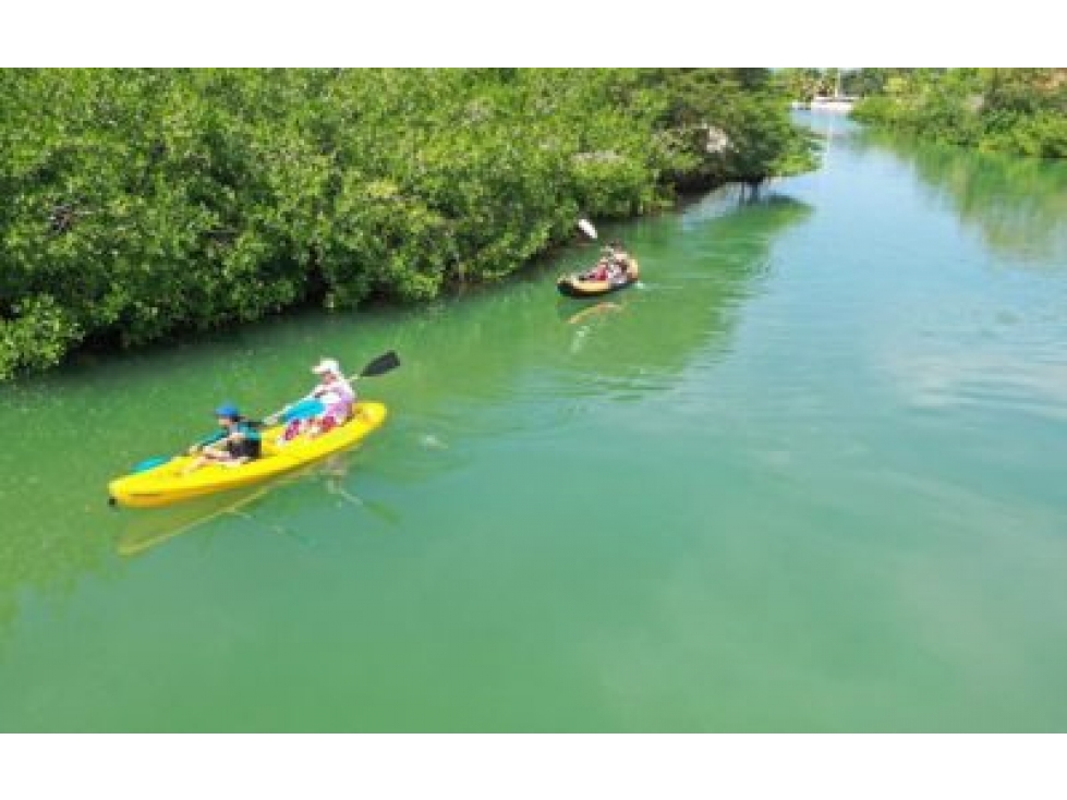 Lote en Venta Sector Barú, Cartagena de Indias — foto 4