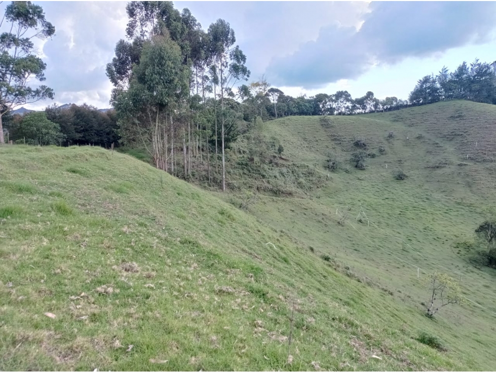 Lote en Venta en Proyecto de Parcelación del Retiro — foto 6