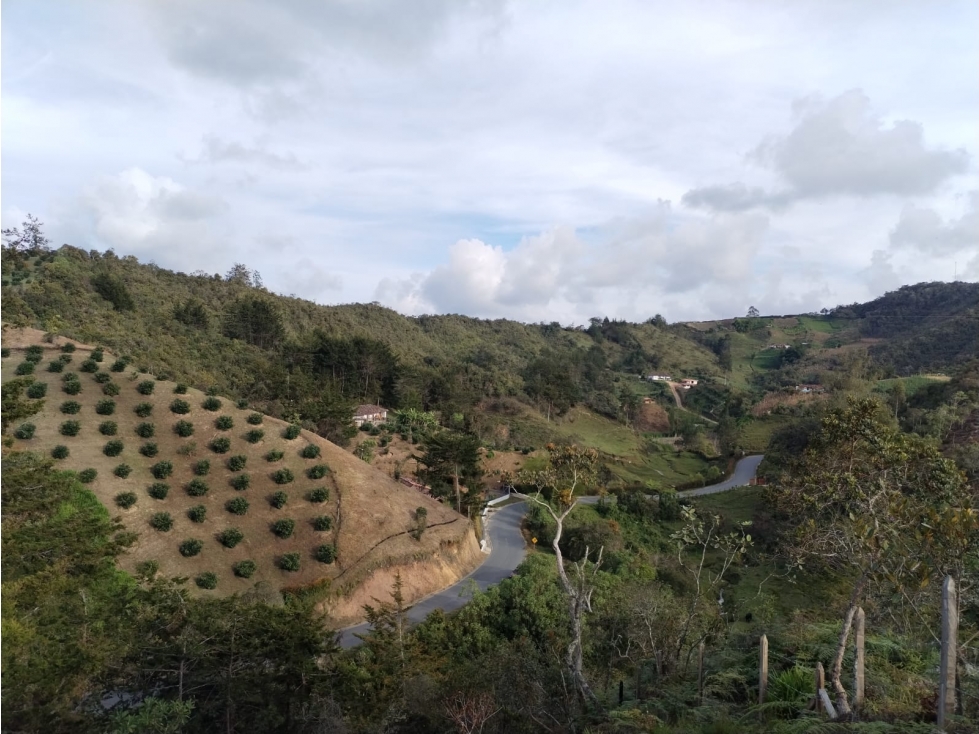 Lote con Hermoso Entorno Natural en Venta en San Vicente — foto 4