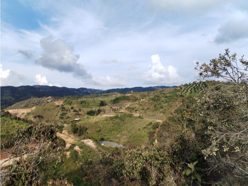 Lote Campetre en Venta Sector La Magdalena en San Vicente — foto 6