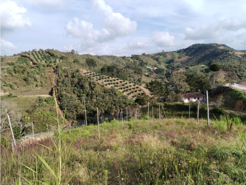 Lote con Hermosa Vista, Sector la Magdalena en San Vicente — foto 6