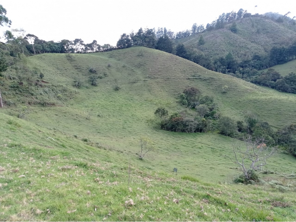 Lote en Venta en Proyecto Exclusivo, en el Retiro Sector el Chuscal — foto 6