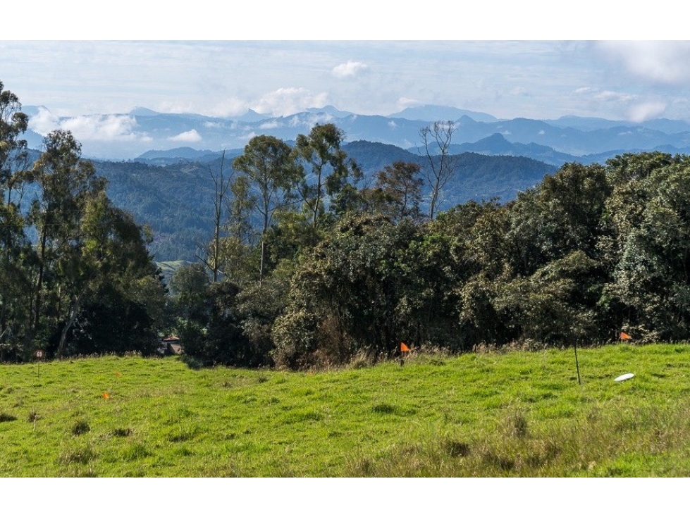 Lote en Venta en Envigado, Sector Alto de Palmas — foto 6