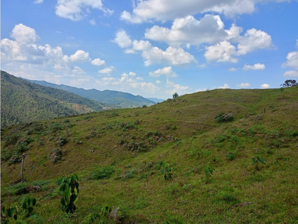 Lote Rural en Venta en el Retiro, Sector El Carmen — foto 6