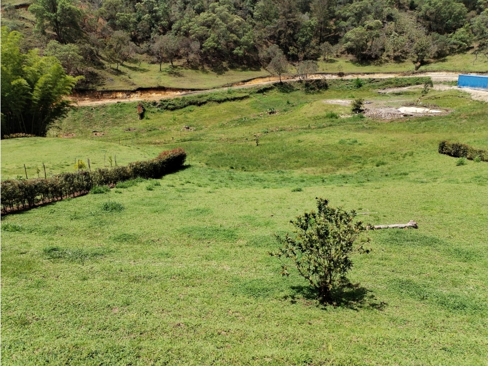 Lote Campestre en Venta, Vereda San Ignacio, San Vicente — foto 6