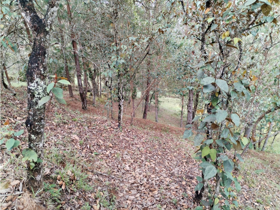 Lote en Venta en Parcelación Campestre en San Vicente Ferrer — foto 2