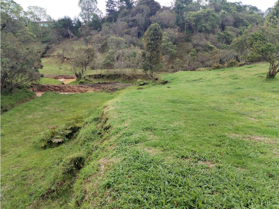 Lote Campestre en Venta Sector San Ignacio en San Vicente — foto 6