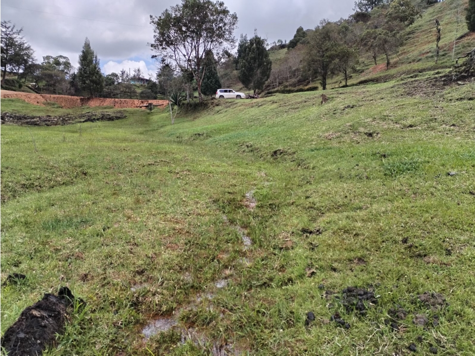Lote en Venta Sector Vereda San Ignacio, San Vicente Ferrer — foto 6